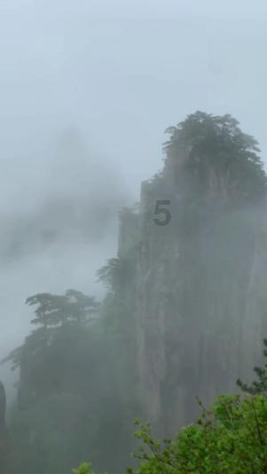 虫虫助手下载