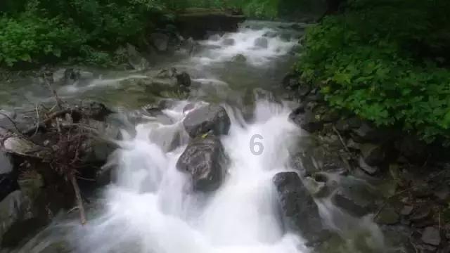 虫虫助手下载
