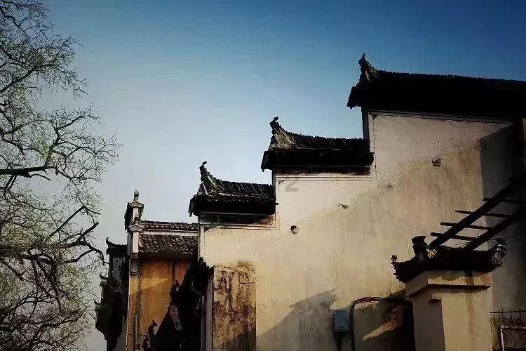 动物帮帮忙保卫家园